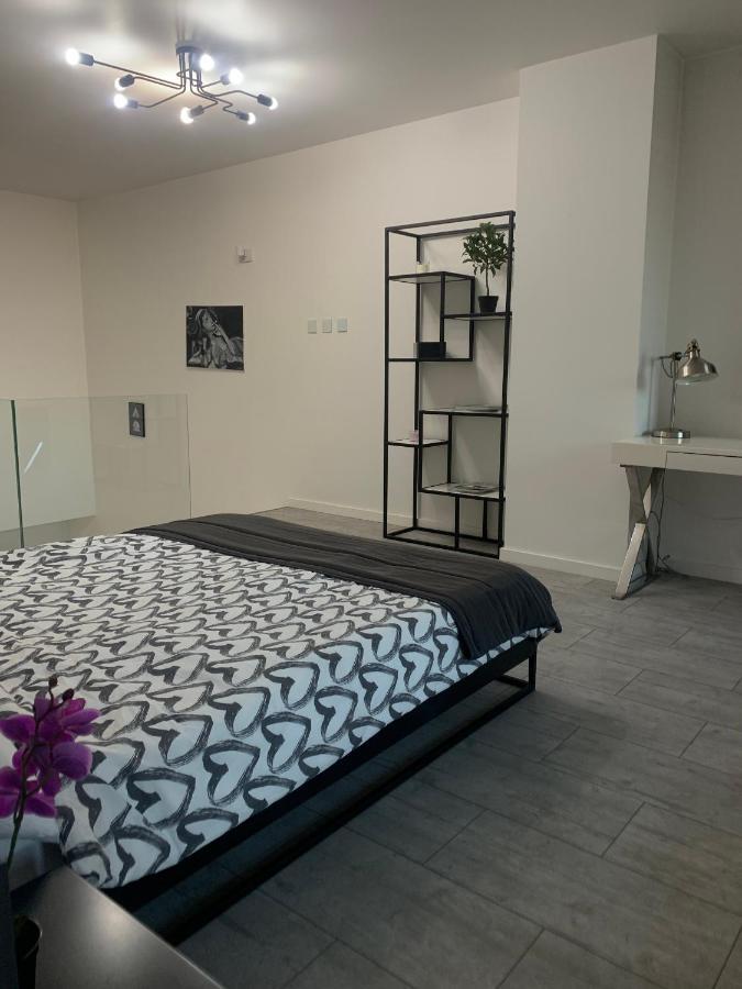 Ekskluzywny Penthouse Z Ogrodem W Centrum Lodzi Exteriér fotografie